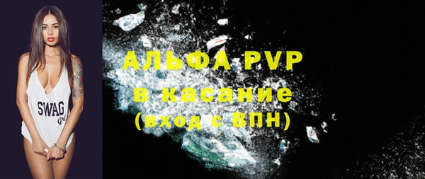 гашик Арсеньев